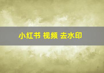 小红书 视频 去水印